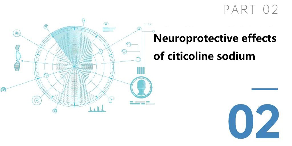 Neuroprotective effects of citicoline sodium