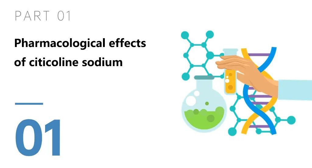 Pharmacological effects of citicoline sodium