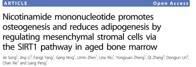 NMN regulates aging bone marrow mesenchymal stem cells through the SIRT1 pathway, promoting bone formation and reducing adipogenesis