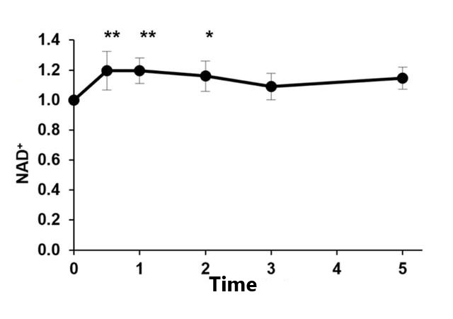 Chart 1 NAD+levels after intravenous injection of NMN