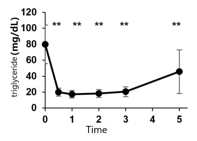 Chart 2 Triglyceride levels after intravenous injection of NMN