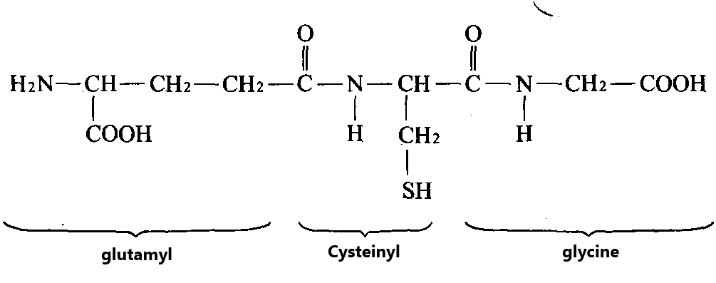 Figure 1: Chemical formula of glutathione (GSH)