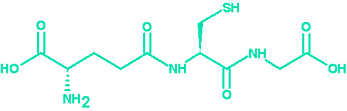 Chemical structure of glutathione