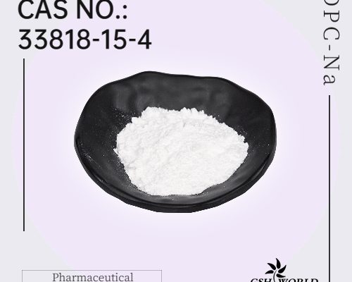 Bulk Citicoline Sodium Powder