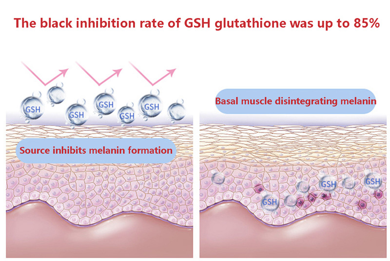 The black inhibition rate of GSH glutathione was up to 85%