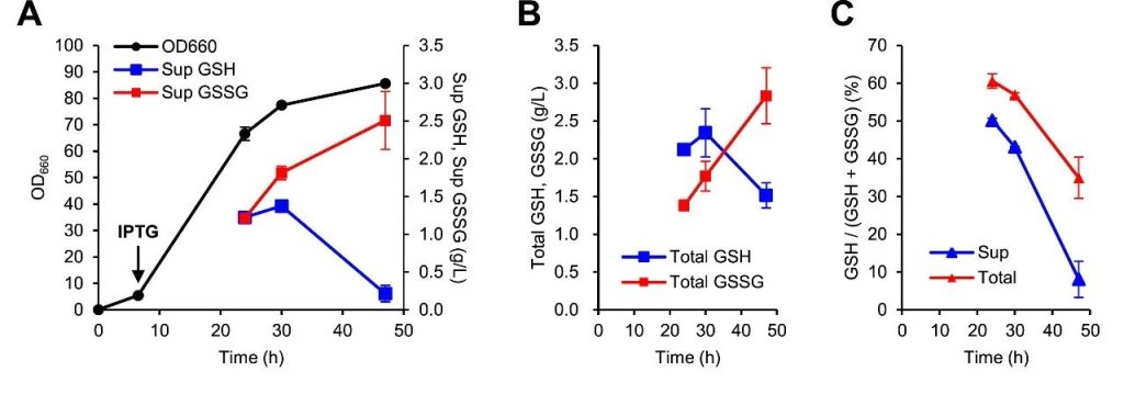 Proof of concept for glutathione fermentation of KG0A strain in a 5L bioreactor.