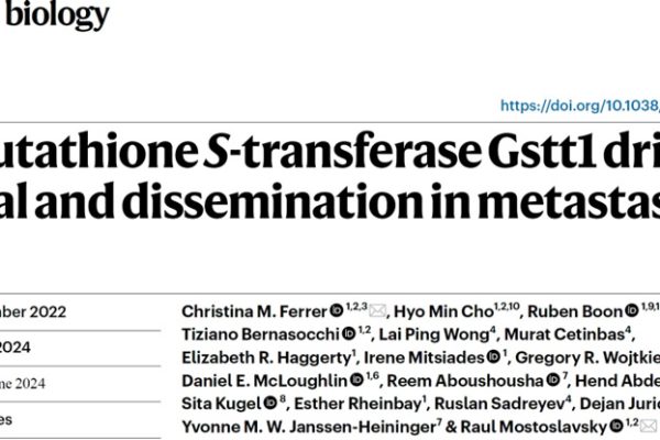 The glutathione S-transferase Gsttl drive ssurvival and dissemination in metastases