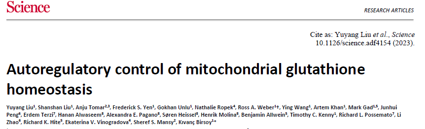 Autoregulatory control of mitochondrial glutathione homeostasis