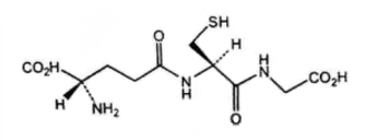 Glutathione has many physiological functions