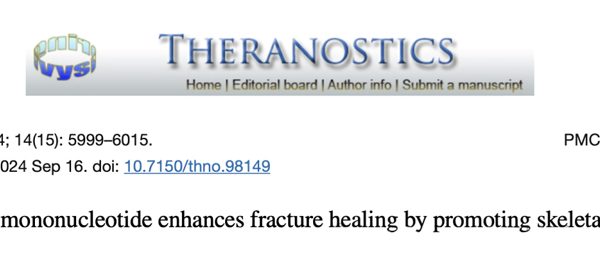 Nicotinamide Mononucleotide enhances fracture healing by promoting skeletal stem cell proliferation