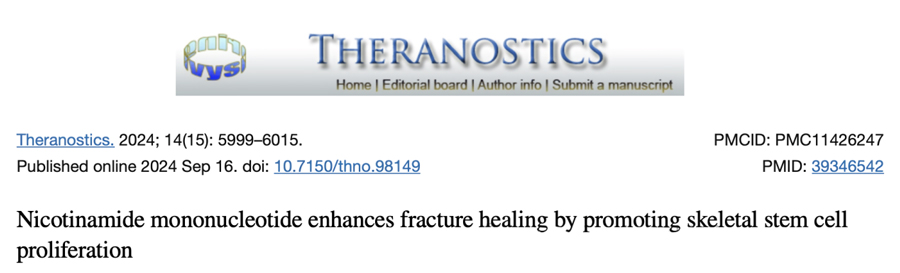 Nicotinamide Mononucleotide enhances fracture healing by promoting skeletal stem cell proliferation