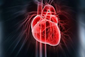 Coenzyme Q10 activates cardiac power