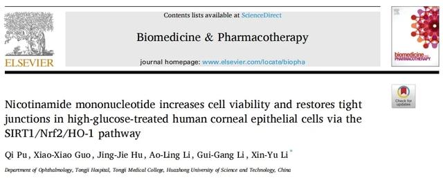 NMN enhances cell viability and restores tight junctions in glucose-treated human corneal epithelial cells through the SIRT1/Nrf2/HO-1 pathway