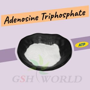 Bulk Adenosine disodium triphosphate Powder