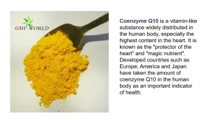 Bulk Coenzyme Q10 Powder