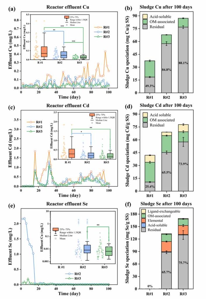 Figure 2: Concentration of Cu (a), Cd (c) and Se (e) in effluent and formation of Cu (b), Cd (d) and Se (f) in final sludge. A selenite ore is supplied in R#2, and selenite and GSH are added in R#3. The illustration on the left shows a box diagram of wastewater quality, with significant differences between reactors.