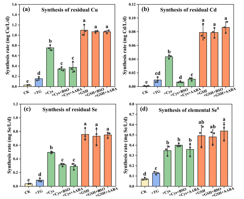 Figure 4: Synthesis rates of residual Cu (a), Cd (b), Se (c) and element Se0 (d) under different stimulus and inhibition conditions. XRD analysis shows that the residue mainly exists in the form of metal selenides. Labels a, b, c, d, and e on the bar chart indicate a significant difference (p < 0.05).