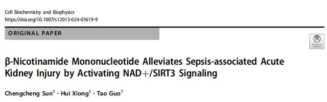 Figure 1.β-NMN alleviates sepsis associated acute kidney injury by activating the NAD+/SIRT3 signaling pathway