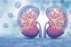 NMN reduces acute kidney injury associated with sepsis