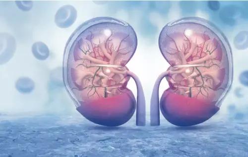 NMN reduces acute kidney injury associated with sepsis