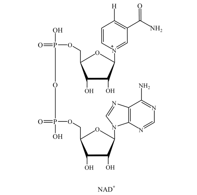 NAD+