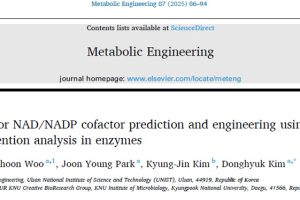 Deep learning for NAD/NADP cofactor prediction and engineering using transformer attention analysis in enzyies