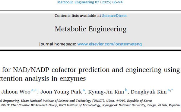 Deep learning for NAD/NADP cofactor prediction and engineering using transformer attention analysis in enzyies