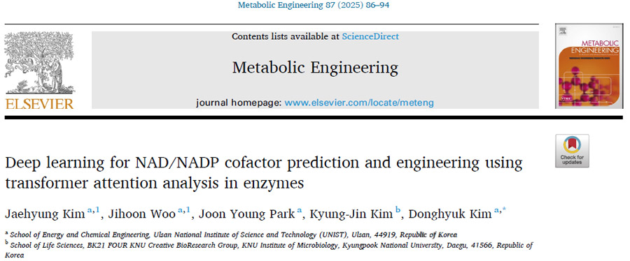 Deep learning for NAD/NADP cofactor prediction and engineering using transformer attention analysis in enzyies