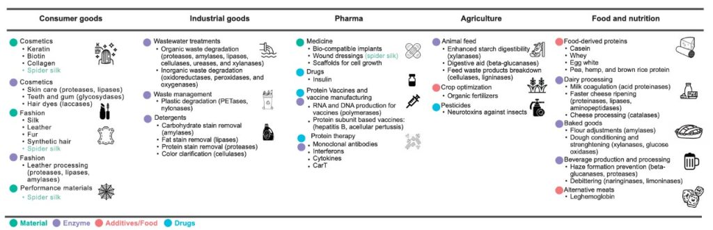 A wide range of applications for biomanufacturing proteins