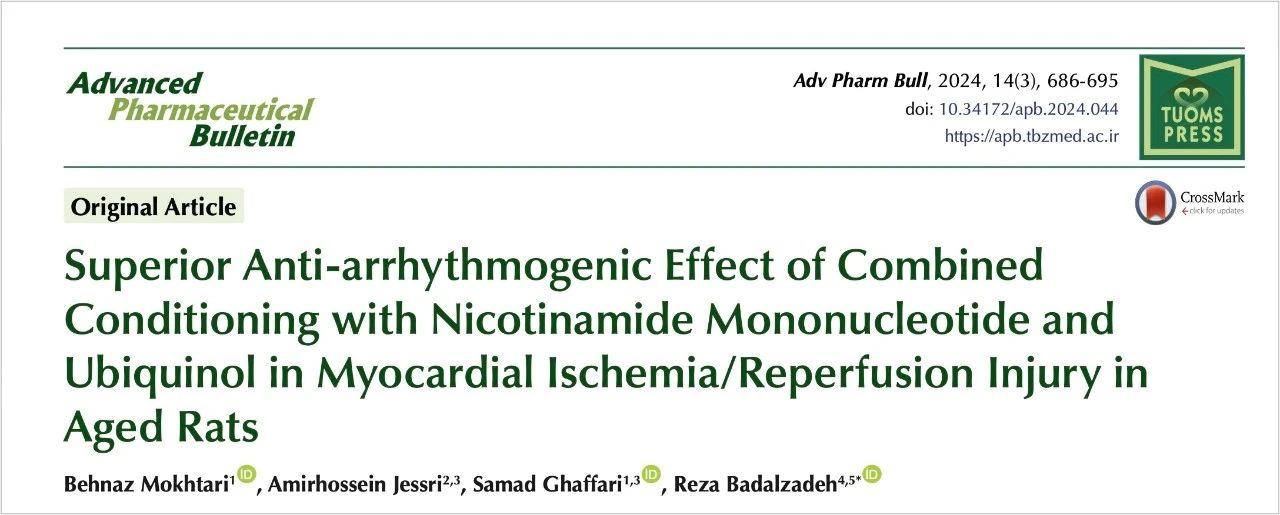 Superior Anti-arrhythmogenic Effect of Combined Conditioning with Nicotinamide Mononucleotide and Ubiquinol in Myocardial lschemia/Reperfusion Injury in Aged Rats