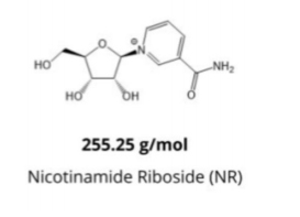 Nicotinamide Riboside Chloride NR