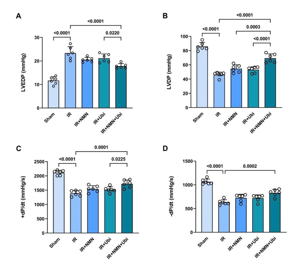 The effect of NMN+ Coenzyme Q10 on restoring cardiac function was better than that of monotherapy group