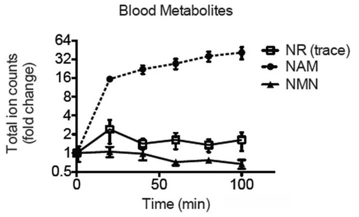 NAD+ can directly supplemented?