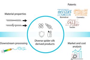 Industry review spider silk biological manufacturing barriers