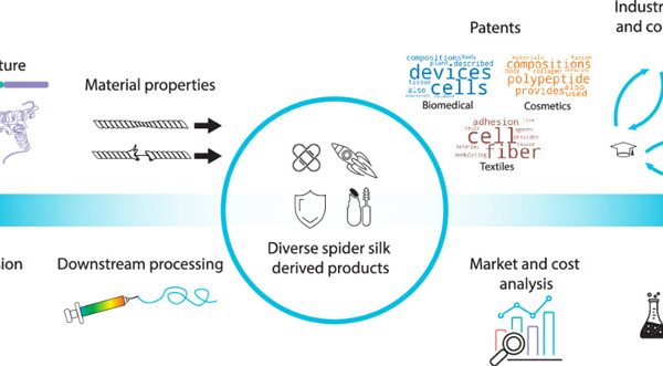 Industry review spider silk biological manufacturing barriers