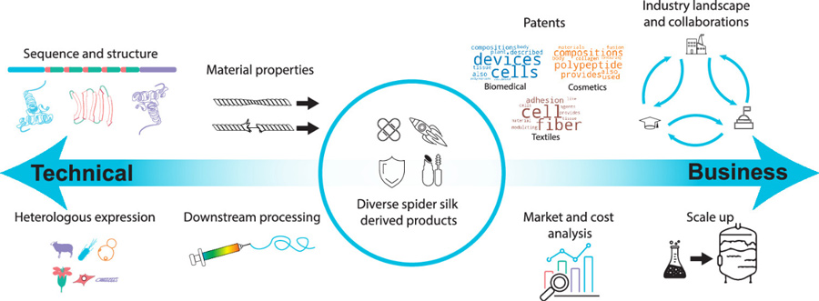 Industry review spider silk biological manufacturing barriers