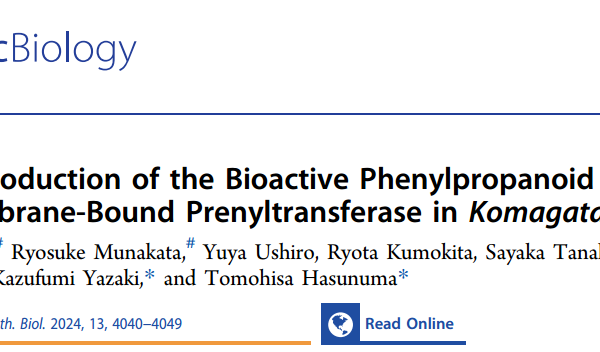 De Novo Production of the Bioactive Phenylpropanoid Artepillin C Using Membrane-Bound Prenyltransferase in Komagataella phaffii