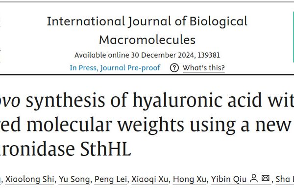 De novo synthesis of hyaluronic acid with tailored molecular weights using a new hyaluronidase SthHL