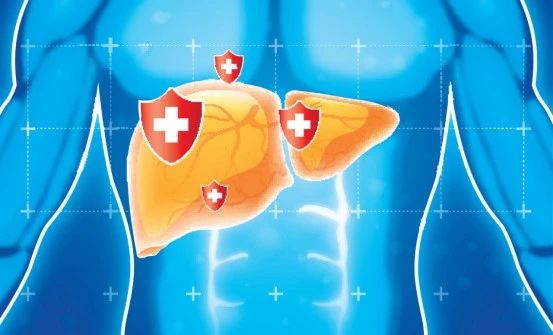 liver is a key ally of glutathione in protecting thyroid gland